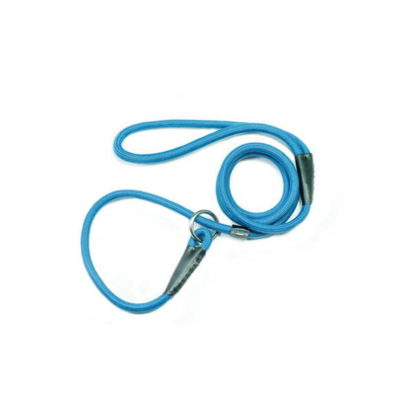 Blue Dog Leash