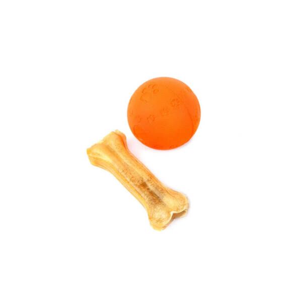 Ball & Treat for Dogs