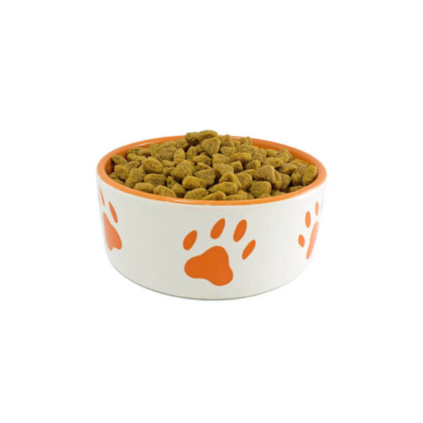 Dog Paw Feeder