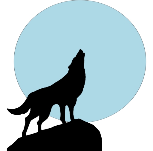 Blue Moon Huskies